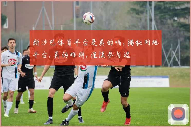 新沙巴体育平台是真的吗,揭秘网络平台,真伪难辨,谨慎参与逗
