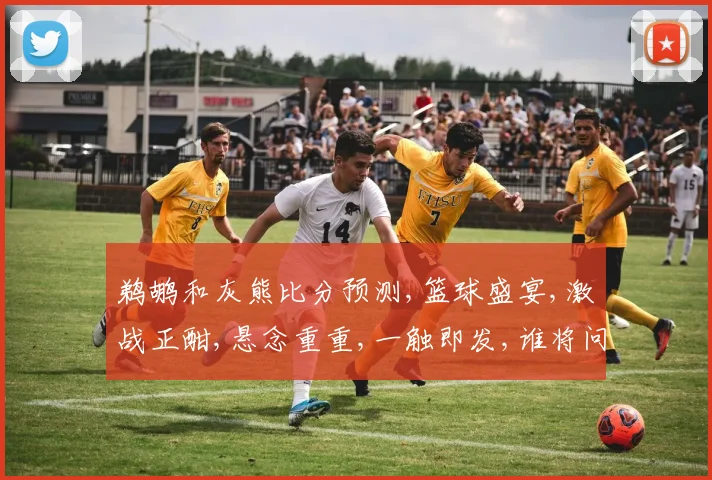 鹈鹕和灰熊比分预测,篮球盛宴,激战正酣,悬念重重,一触即发,谁将问鼎
