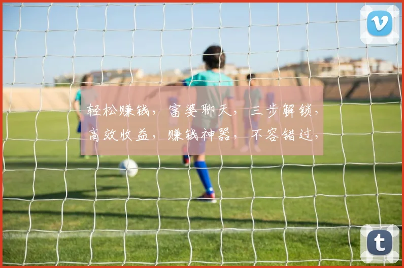轻松赚钱，富婆聊天，三步解锁，高效收益，赚钱神器，不容错过，快来体验